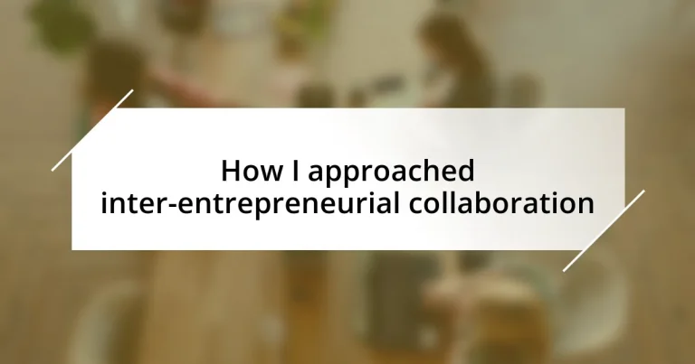 How I approached inter-entrepreneurial collaboration