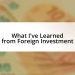 What I’ve Learned from Foreign Investment