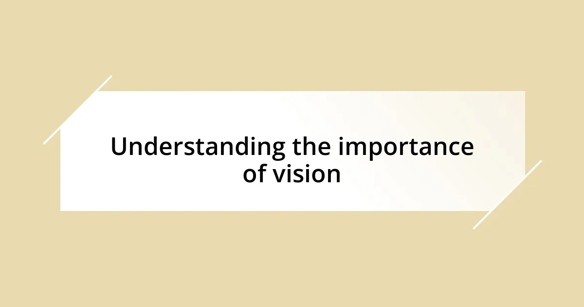 Understanding the importance of vision