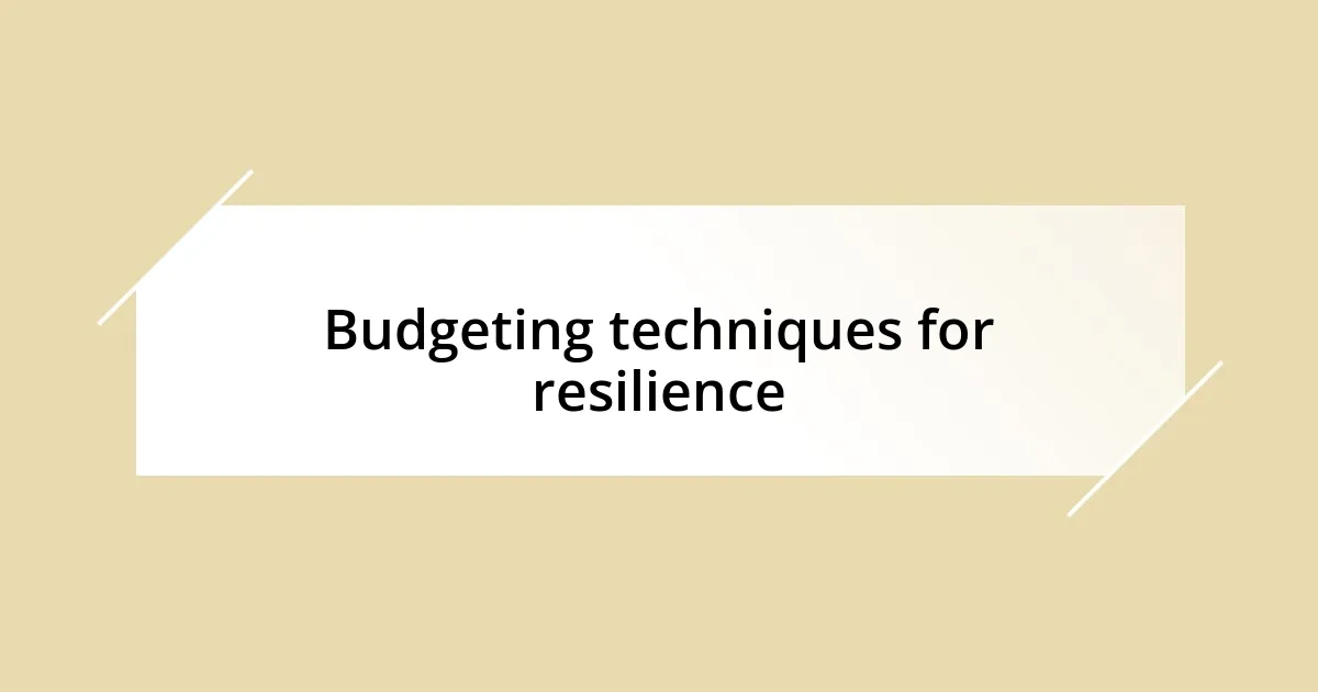 Budgeting techniques for resilience