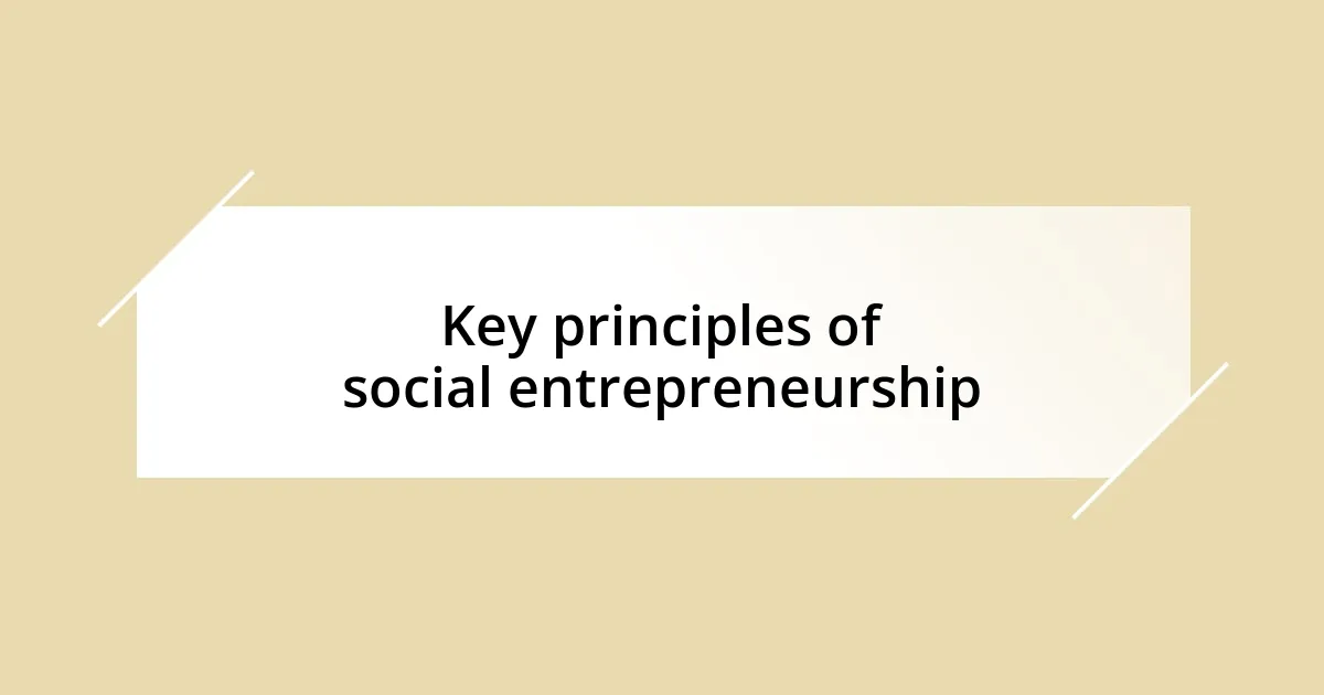 Key principles of social entrepreneurship